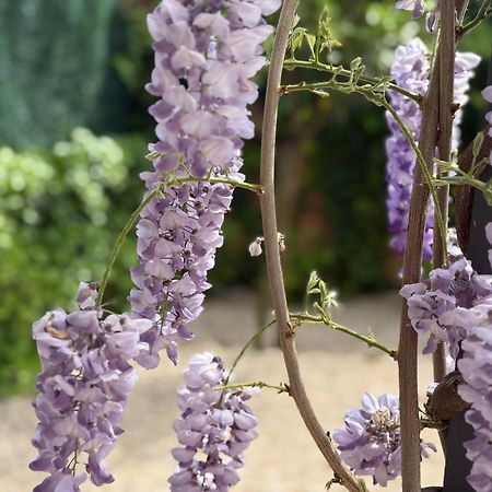 Bakea Apto Con Jardin Privado باكيو المظهر الخارجي الصورة
