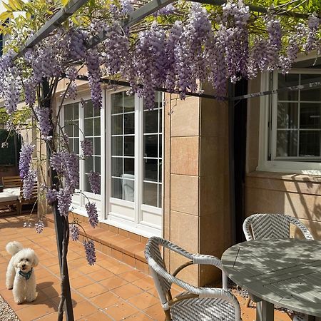 Bakea Apto Con Jardin Privado باكيو المظهر الخارجي الصورة