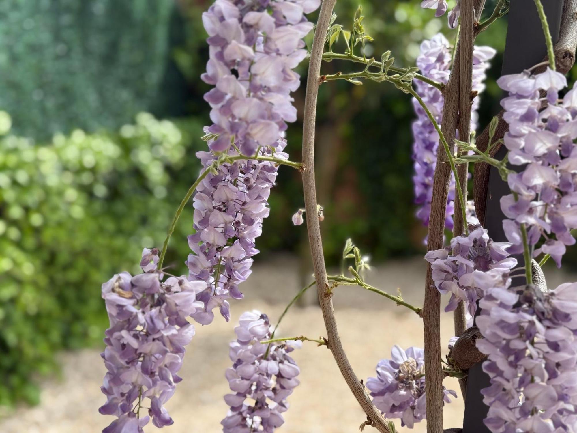 Bakea Apto Con Jardin Privado باكيو المظهر الخارجي الصورة